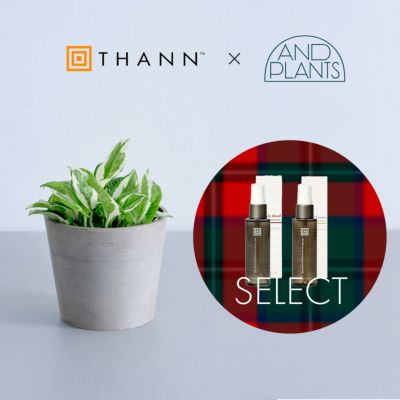 thanksさん専用 特別コラボ｜数量限定】THANN×アンドプランツ ミスト＆プランツセット