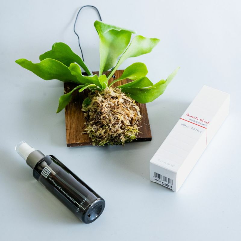 特別コラボ｜数量限定】THANN×アンドプランツ ミスト＆プランツセット